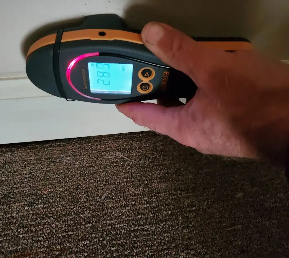 Moisture detection at baseboard during Mold Inspection & Testing in Salida