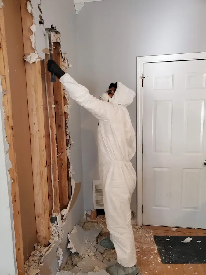 Commercial Water Damage Restoration in Salida, CO