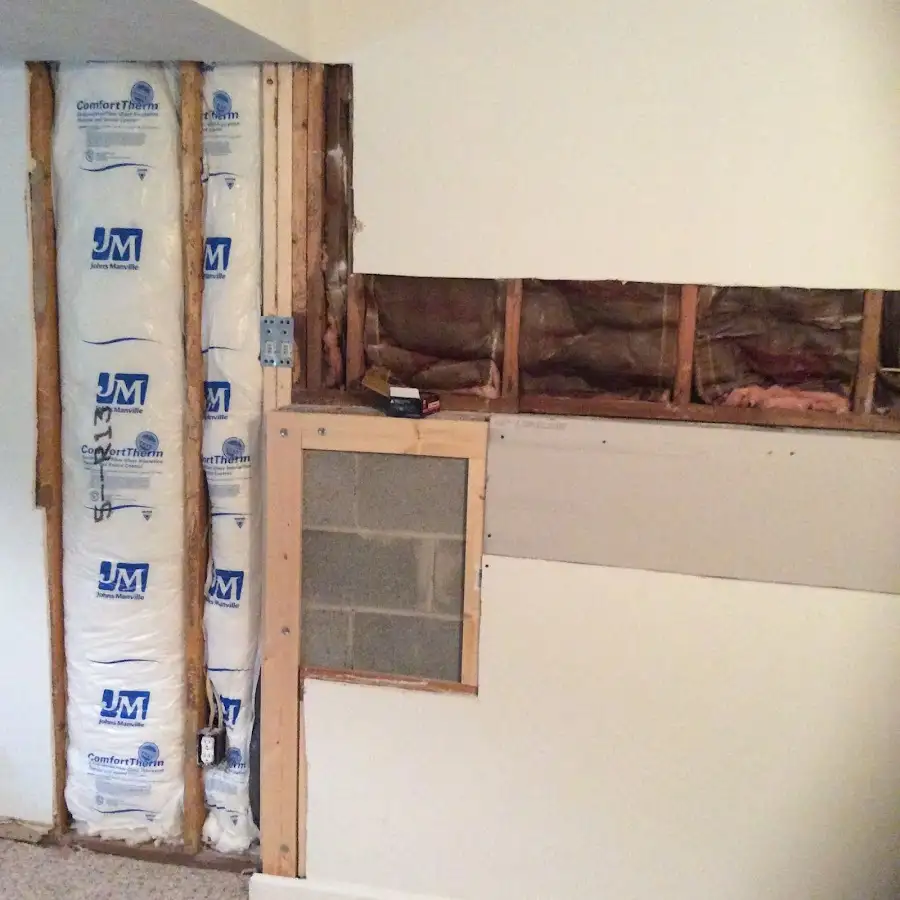 Wall insulation replacement during Odor Removal & Deodorization in Salida